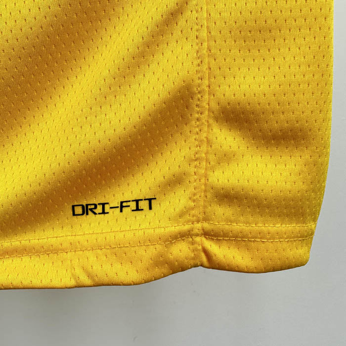 Luka Dončić Los Angeles Lakers Jersey – Icon Edition 24/25 (Gold)