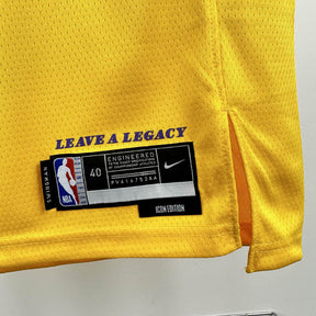 Luka Dončić Los Angeles Lakers Jersey – Icon Edition 24/25 (Gold)